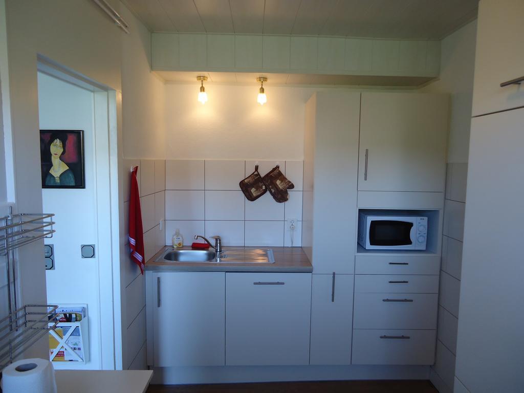 弗兰肯贝格Haus Am Burgberg别墅 外观 照片